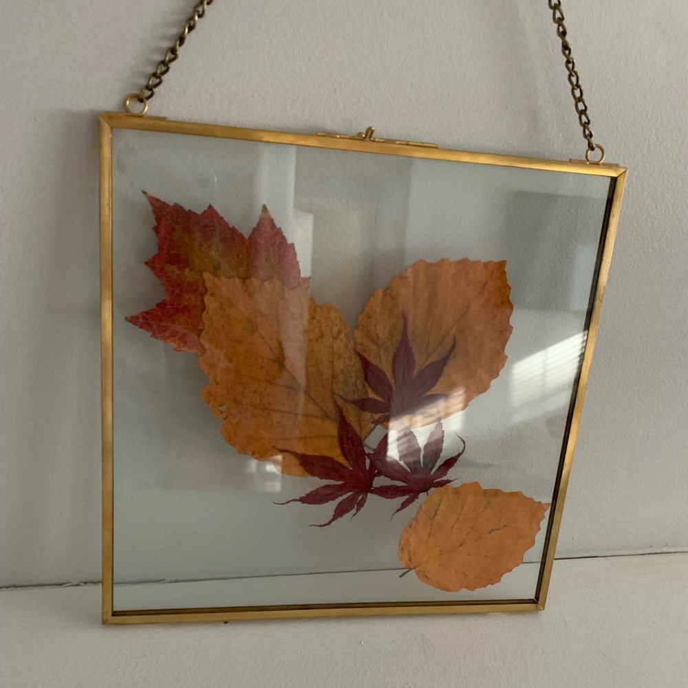 Pressed Fall Leaves Art